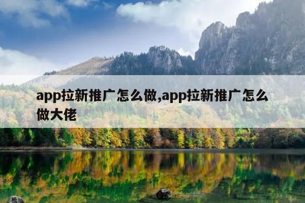 app拉新推广怎么做,app拉新推广怎么做大佬