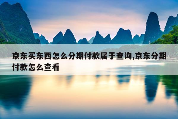 京东买东西怎么分期付款属于查询,京东分期付款怎么查看