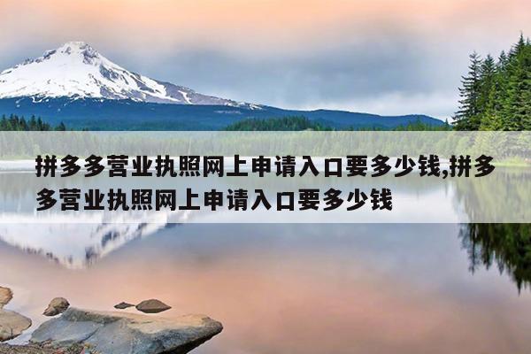 拼多多营业执照网上申请入口要多少钱,拼多多营业执照网上申请入口要多少钱