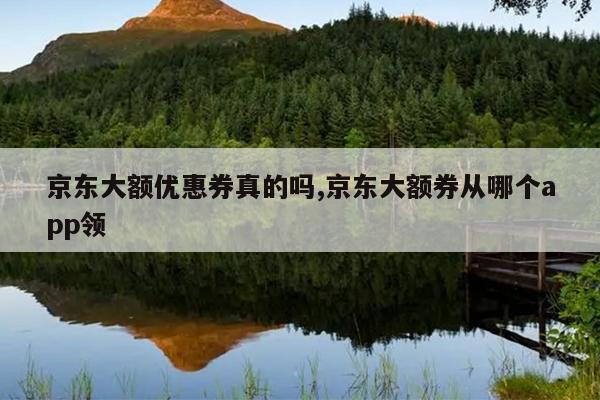 京东大额优惠券真的吗,京东大额券从哪个app领