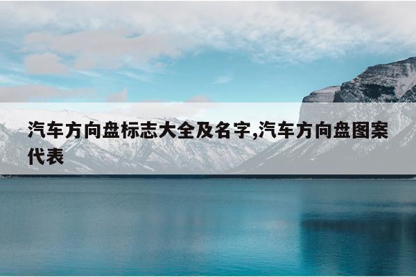 汽车方向盘标志大全及名字,汽车方向盘图案代表