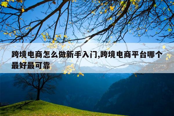 跨境电商怎么做新手入门,跨境电商平台哪个最好最可靠