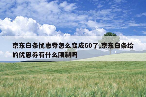 京东白条优惠券怎么变成60了,京东白条给的优惠券有什么限制吗