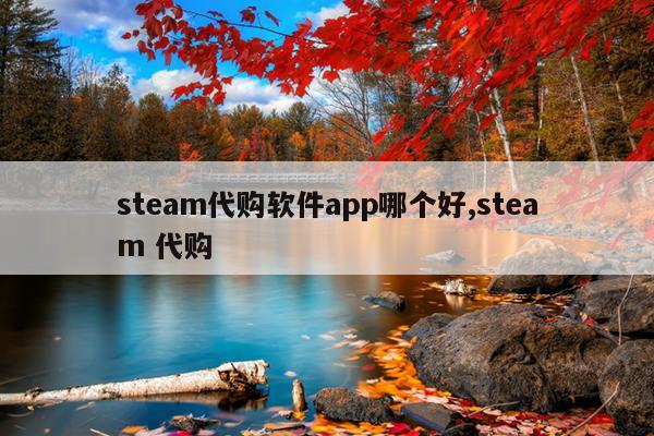 steam代购软件app哪个好,steam 代购