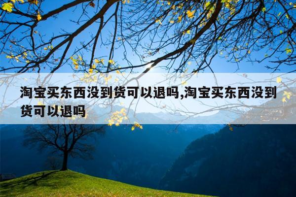 淘宝买东西没到货可以退吗,淘宝买东西没到货可以退吗