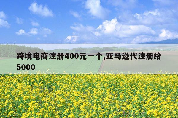 跨境电商注册400元一个,亚马逊代注册给5000