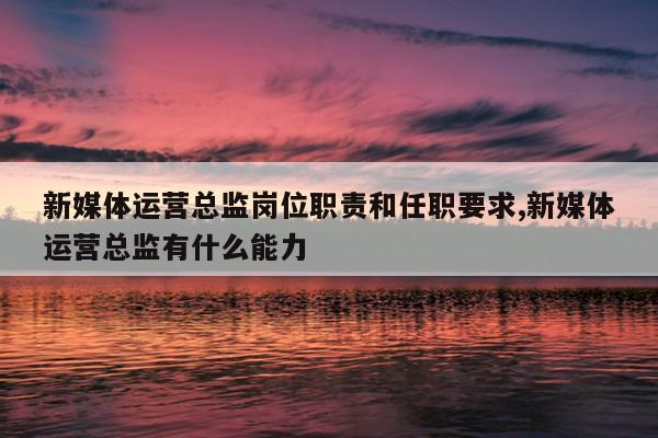 新媒体运营总监岗位职责和任职要求,新媒体运营总监有什么能力