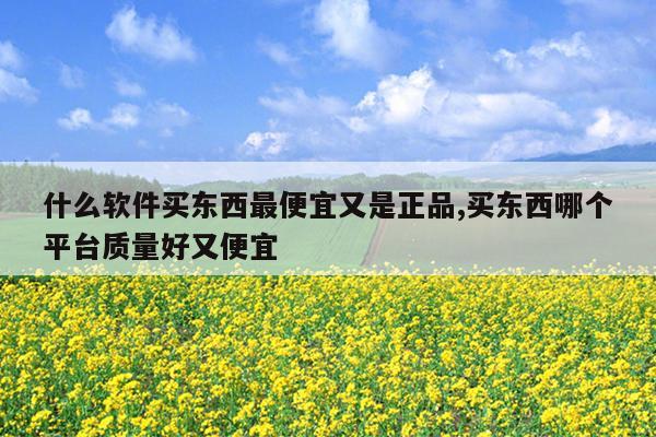 什么软件买东西最便宜又是正品,买东西哪个平台质量好又便宜