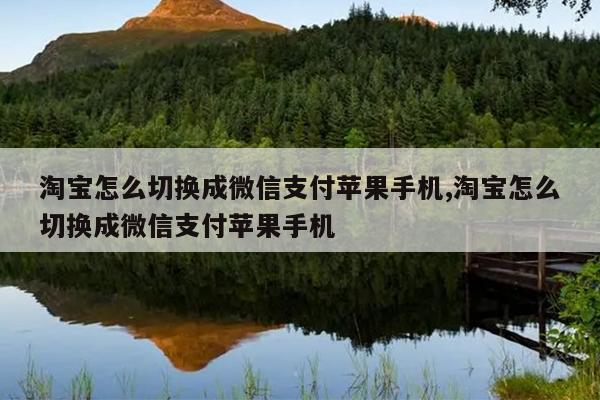 淘宝怎么切换成微信支付苹果手机,淘宝怎么切换成微信支付苹果手机