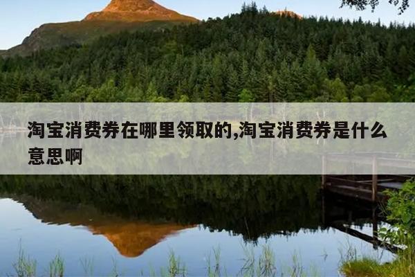 淘宝消费券在哪里领取的,淘宝消费券是什么意思啊