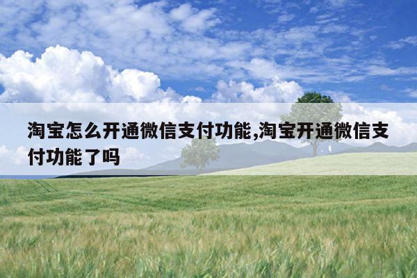 淘宝怎么开通微信支付功能,淘宝开通微信支付功能了吗