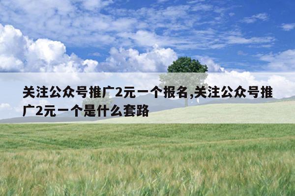 关注公众号推广2元一个报名,关注公众号推广2元一个是什么套路